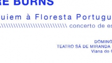 poster_Viana_concert.jpg